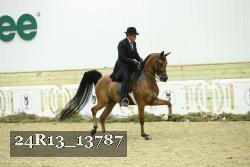 24R13_13787 proof