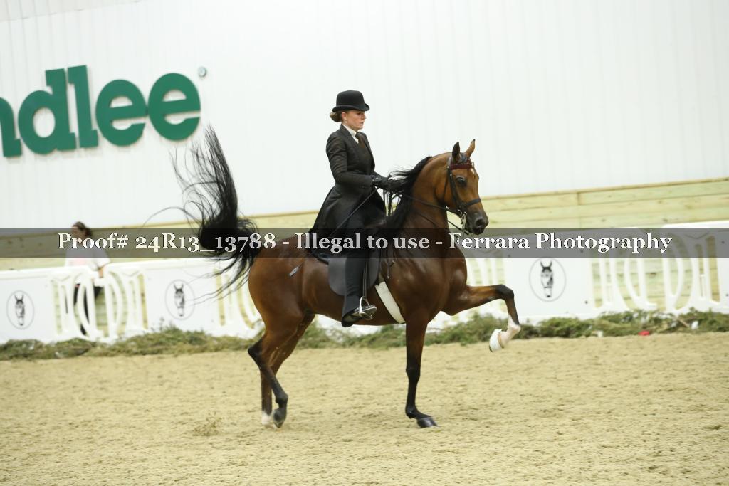 Proof 24R13_13788