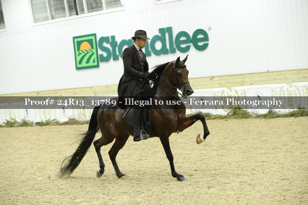 Proof 24R13_13789