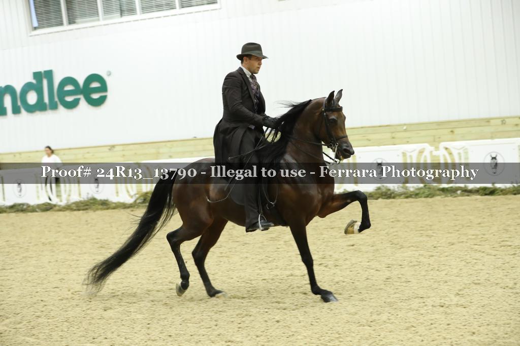 Proof 24R13_13790
