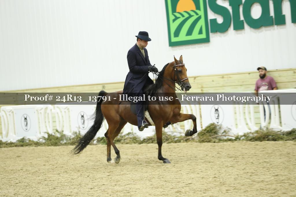 Proof 24R13_13791