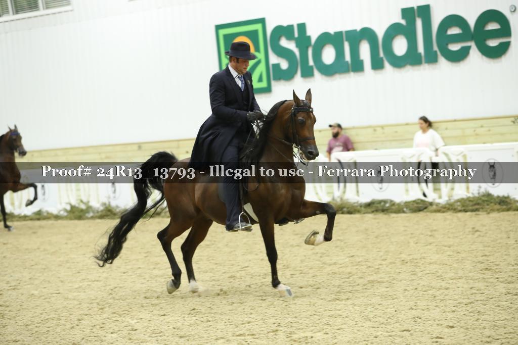 Proof 24R13_13793