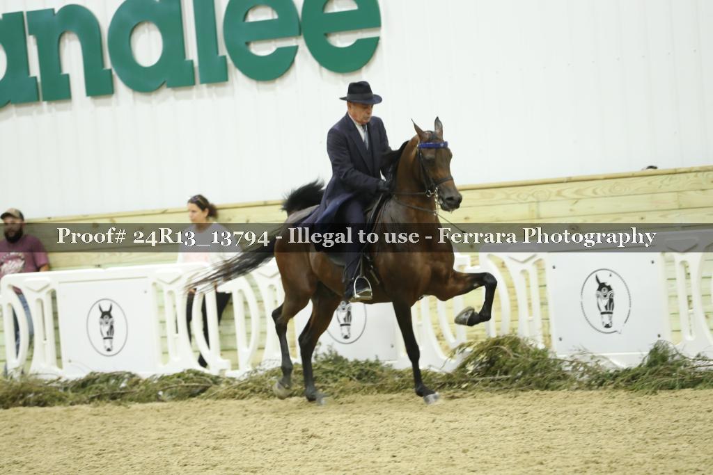 Proof 24R13_13794