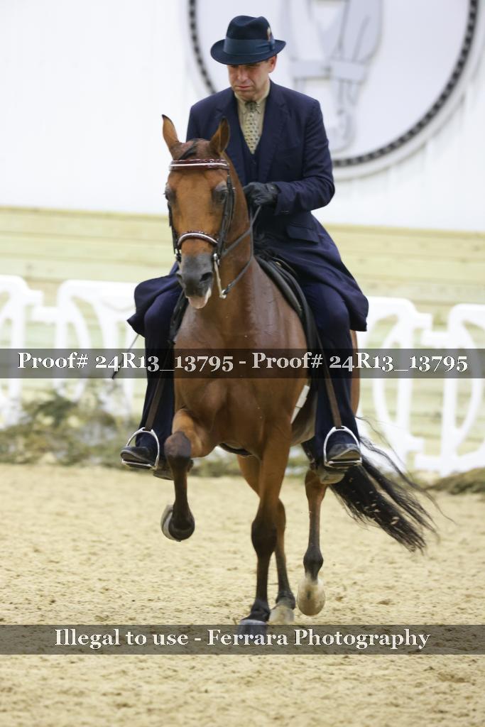 Proof 24R13_13795