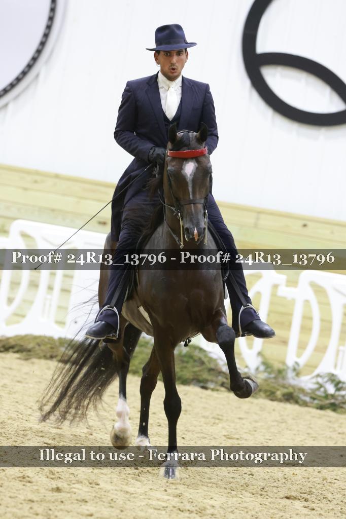 Proof 24R13_13796