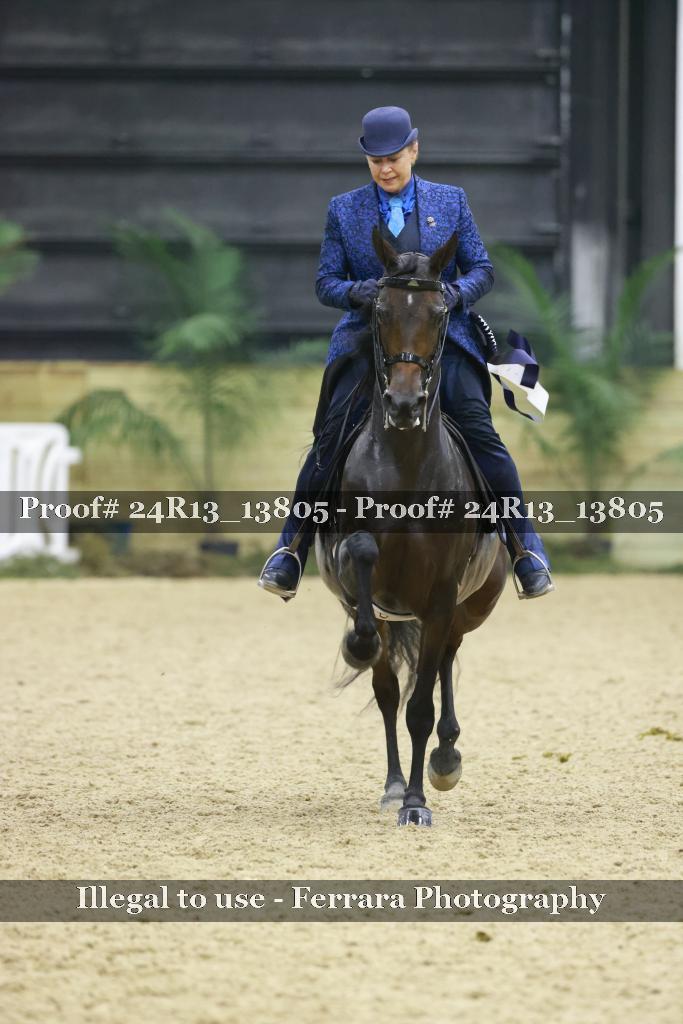 Proof 24R13_13805