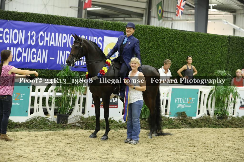 Proof 24R13_13808