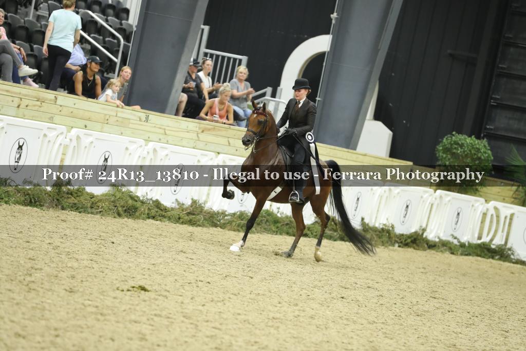 Proof 24R13_13810