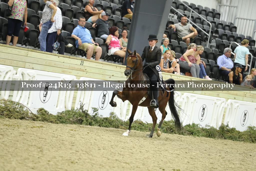 Proof 24R13_13811