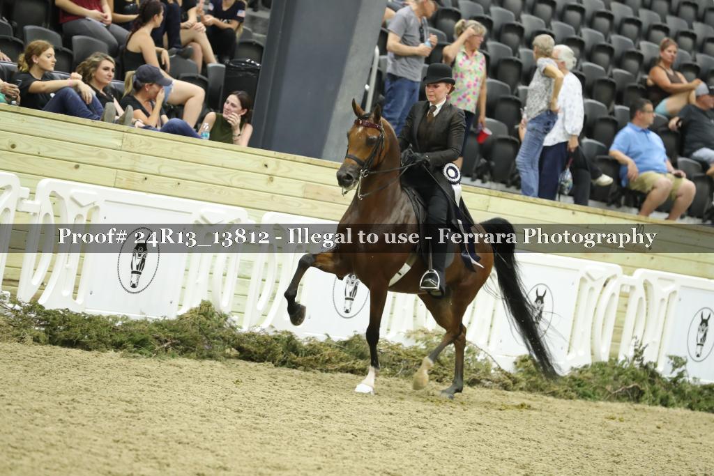 Proof 24R13_13812