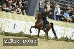 24R13_13812 proof