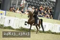 24R13_13813 proof