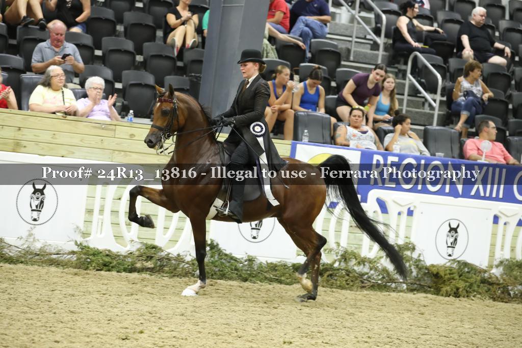 Proof 24R13_13816