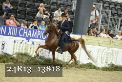 24R13_13818 proof
