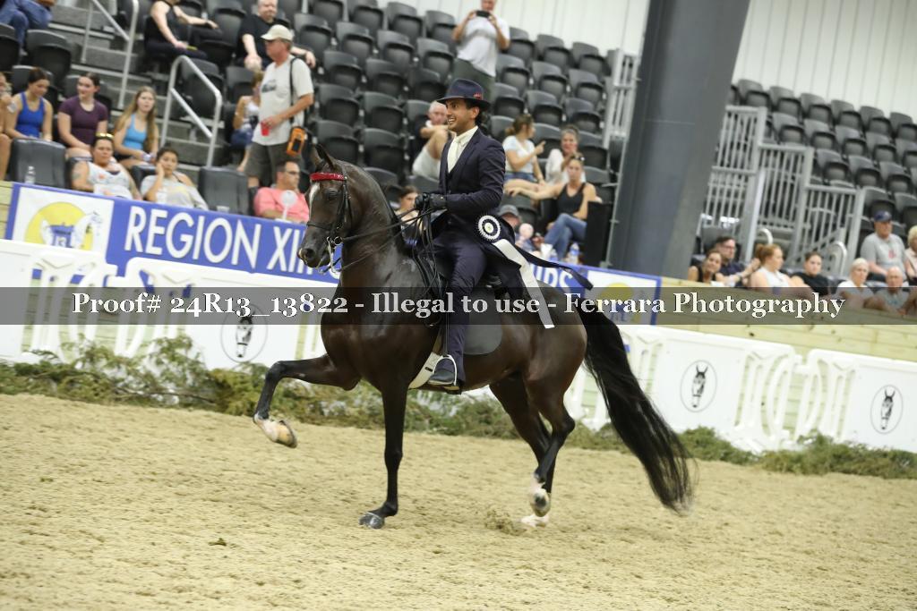 Proof 24R13_13822