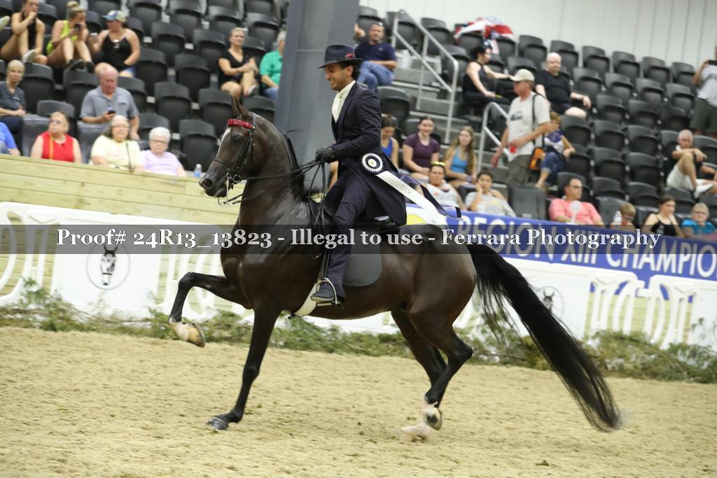 Proof 24R13_13823