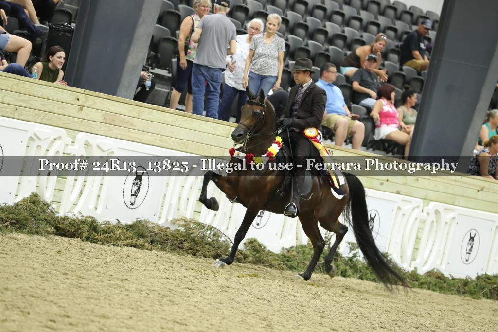 Proof 24R13_13825