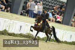 24R13_13825 proof