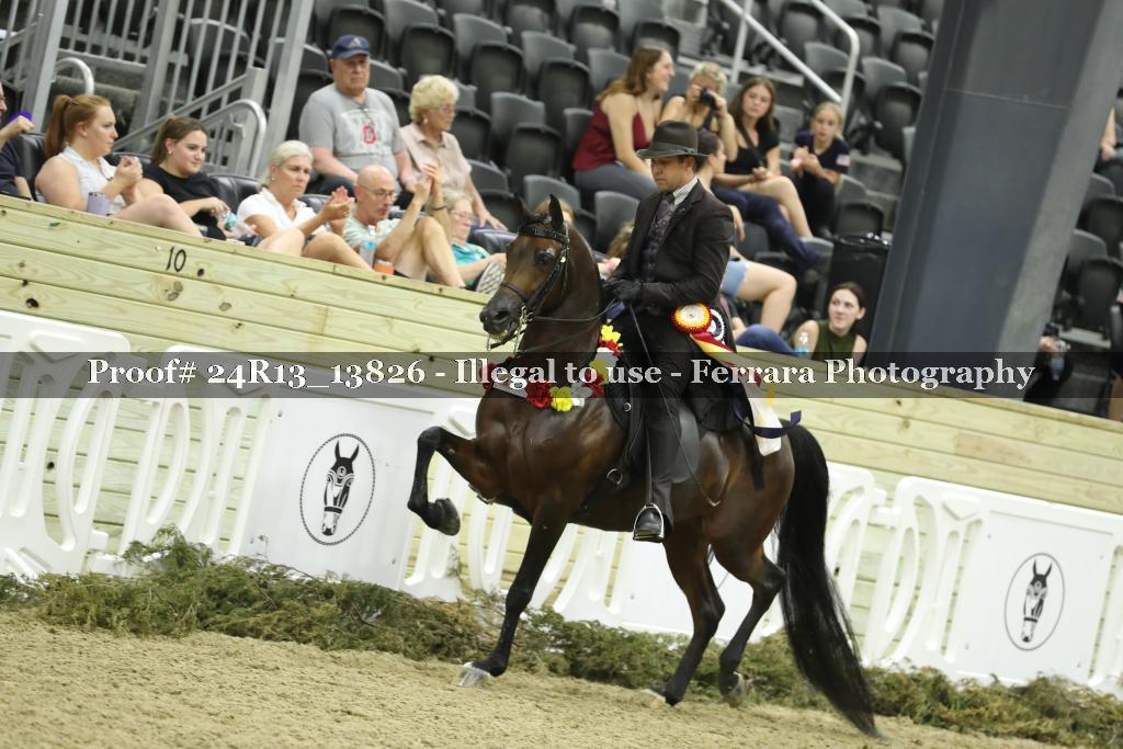Proof 24R13_13826