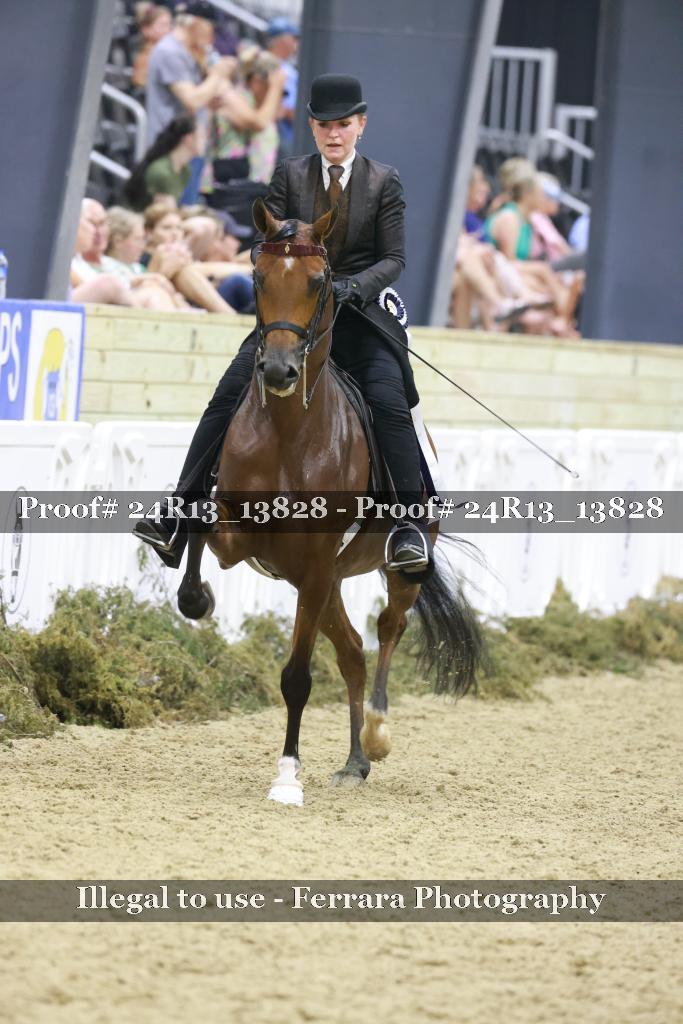 Proof 24R13_13828