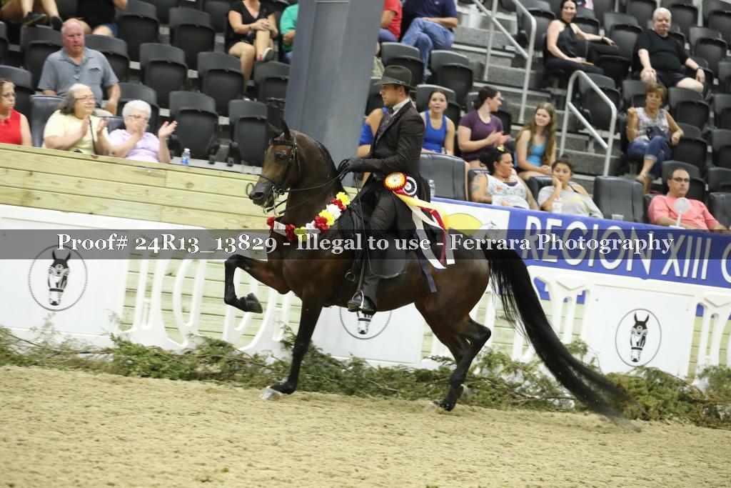 Proof 24R13_13829