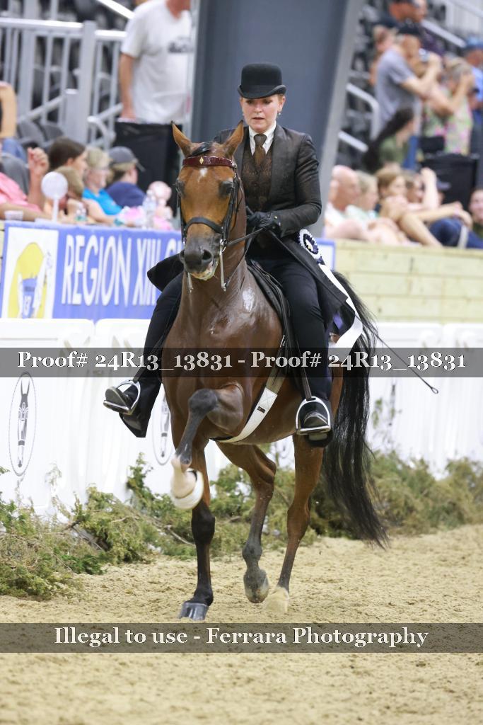 Proof 24R13_13831