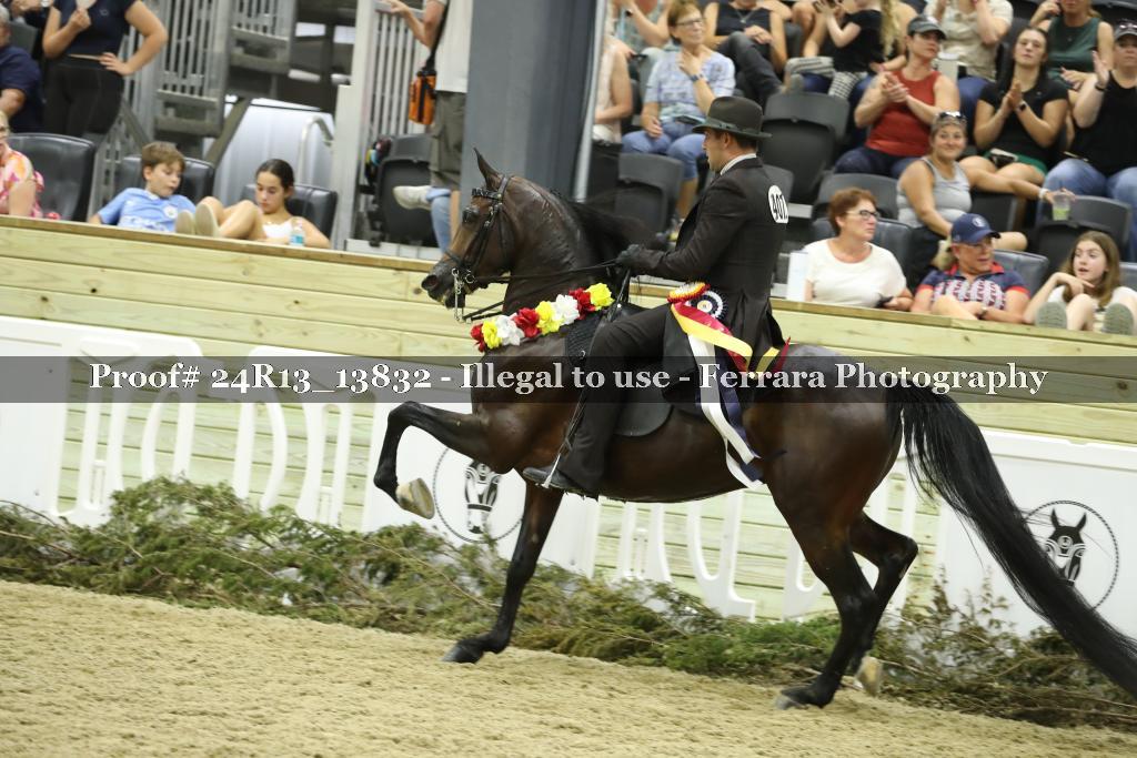 Proof 24R13_13832