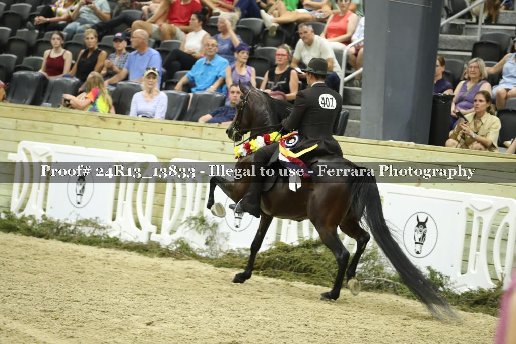 Proof 24R13_13833