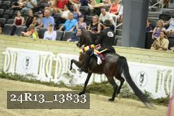 24R13_13833 proof