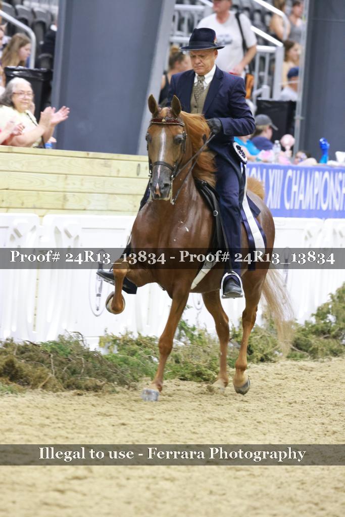 Proof 24R13_13834
