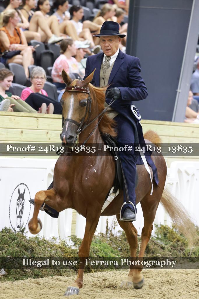 Proof 24R13_13835