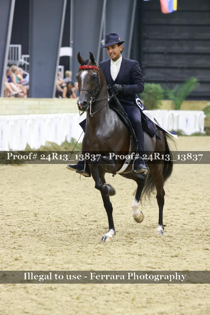 Proof 24R13_13837