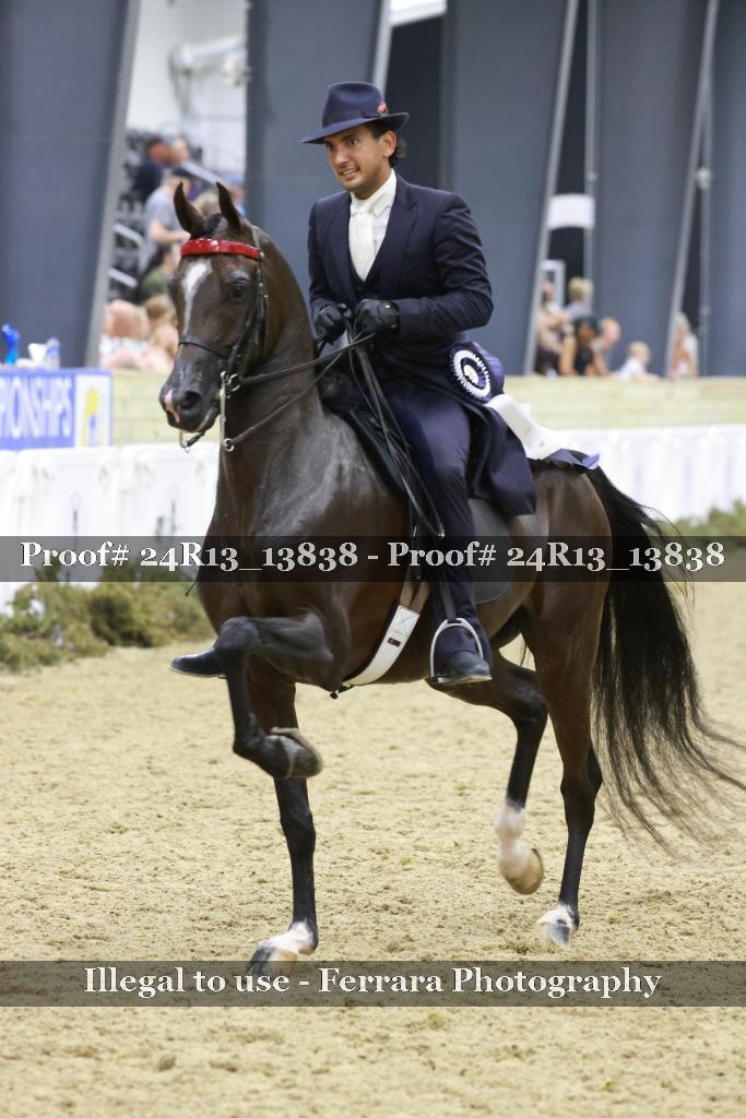 Proof 24R13_13838