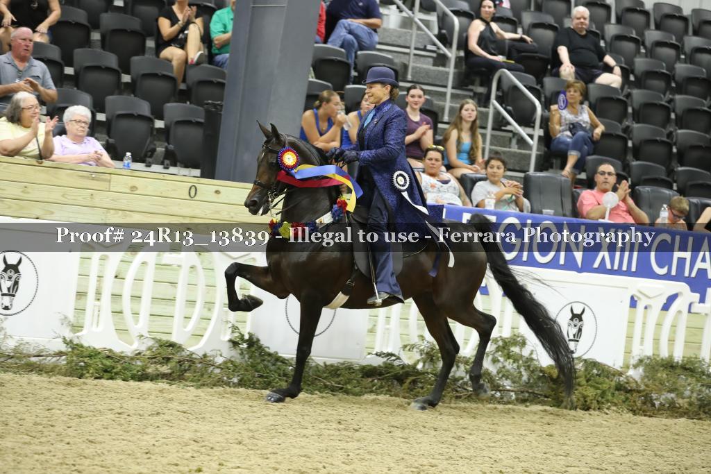 Proof 24R13_13839