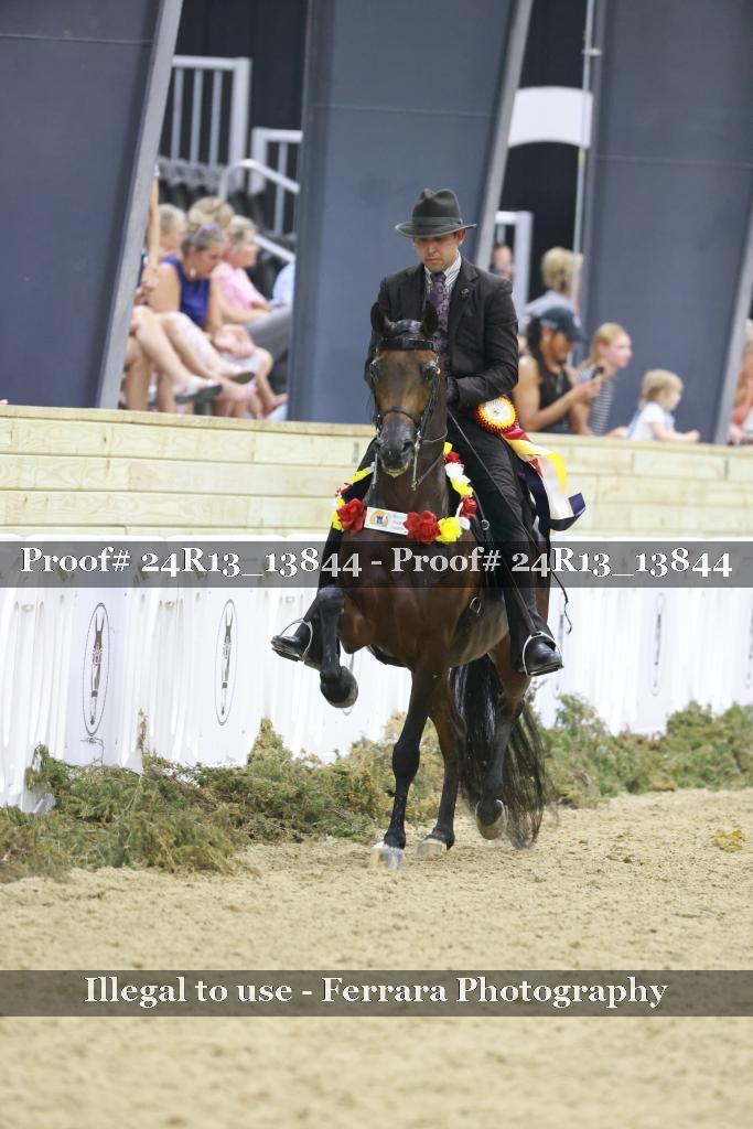 Proof 24R13_13844