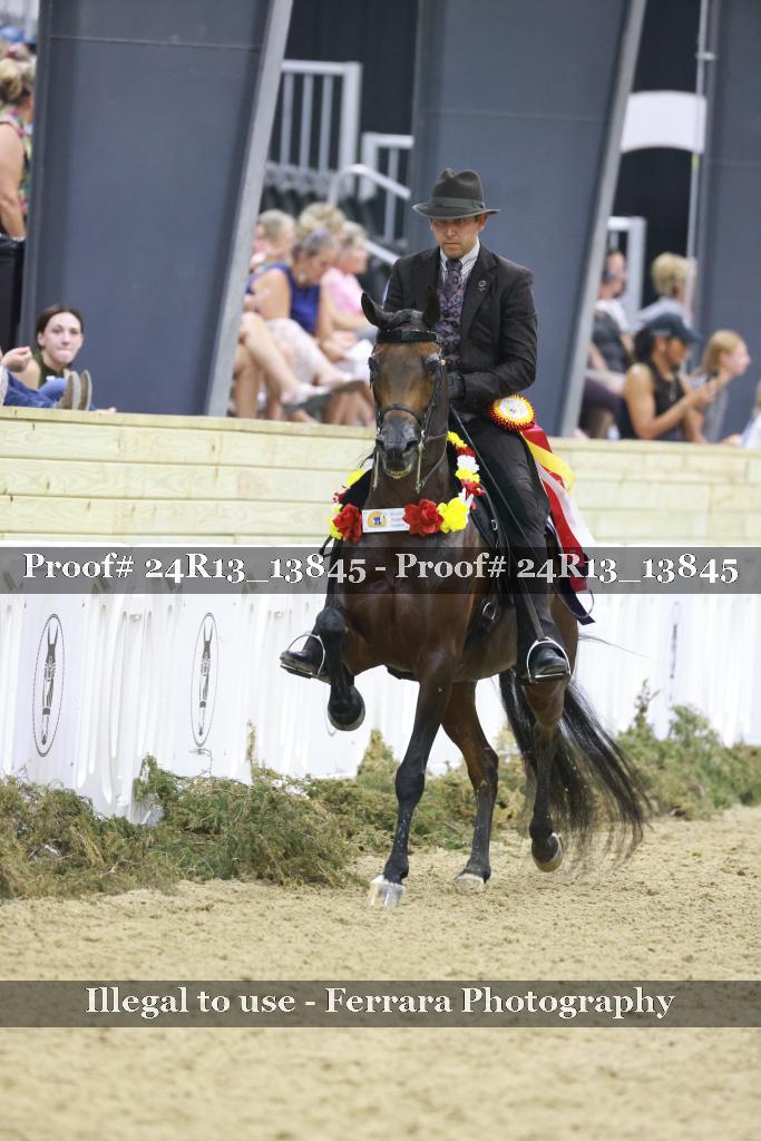 Proof 24R13_13845