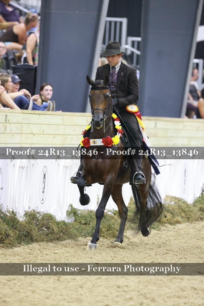 Proof 24R13_13846