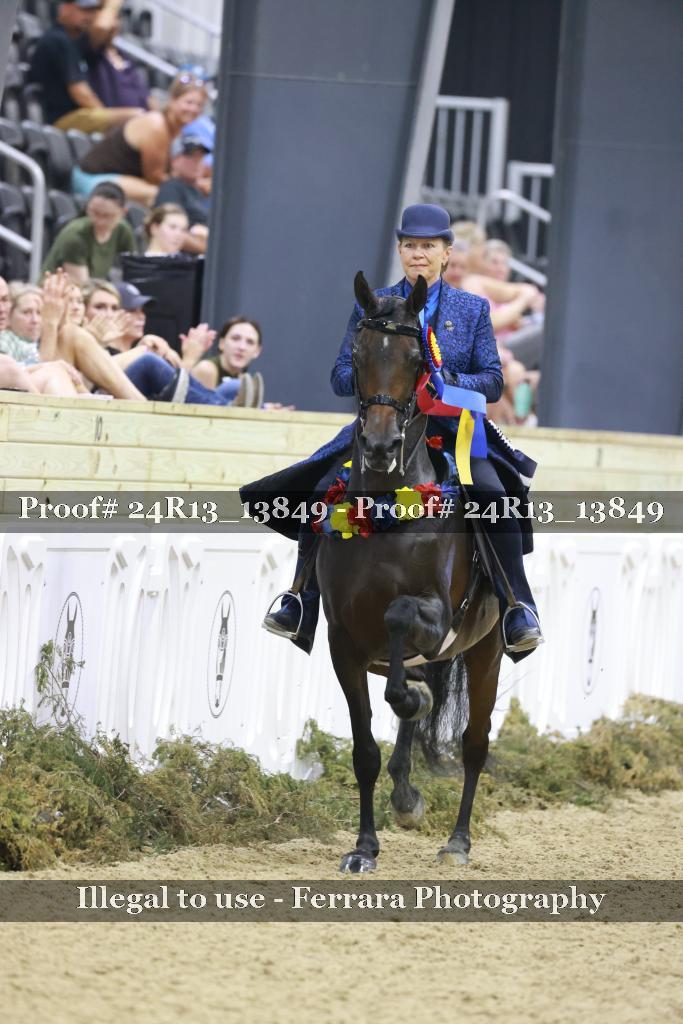 Proof 24R13_13849