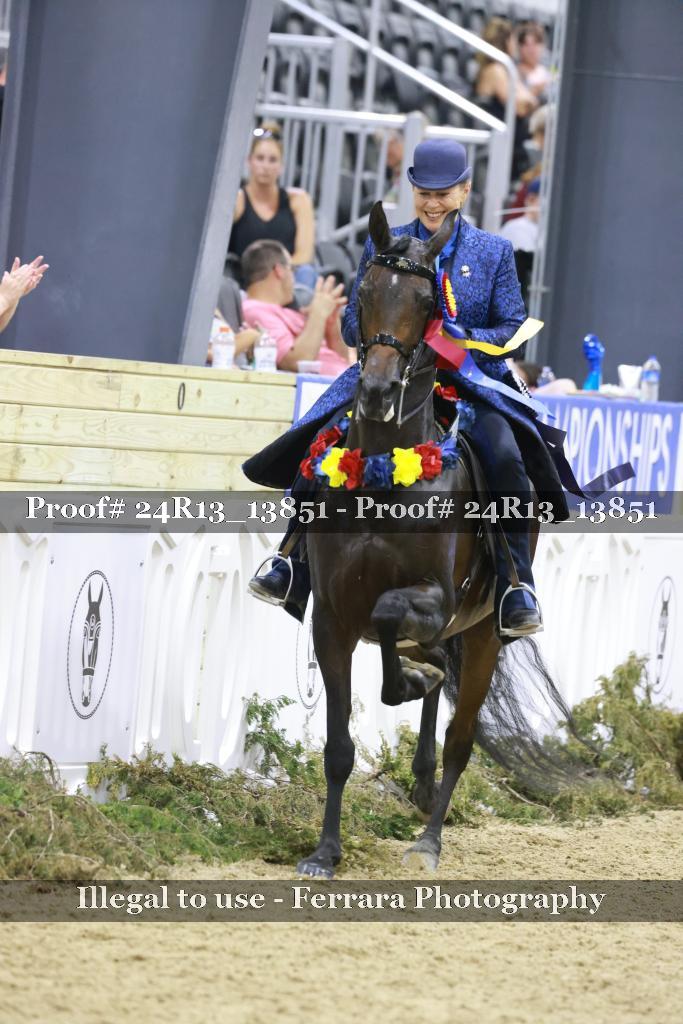 Proof 24R13_13851