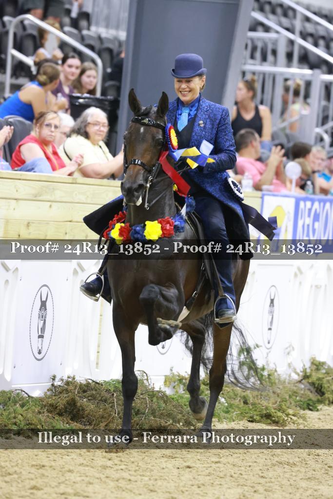Proof 24R13_13852