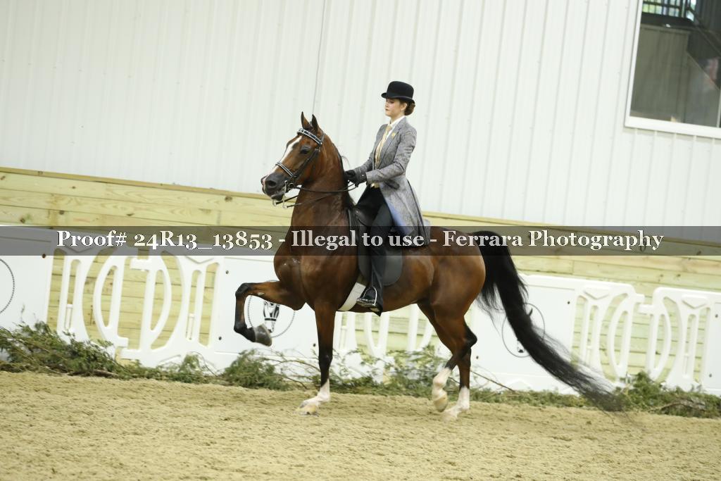 Proof 24R13_13853