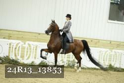24R13_13853 proof