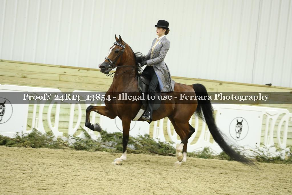 Proof 24R13_13854