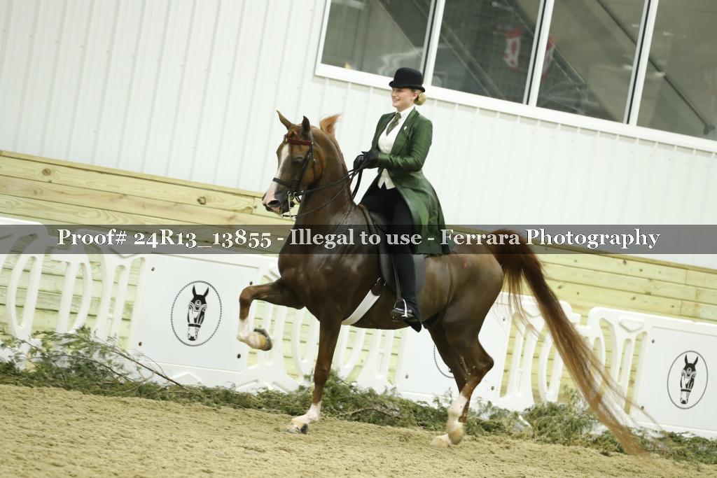 Proof 24R13_13855
