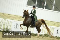 24R13_13855 proof