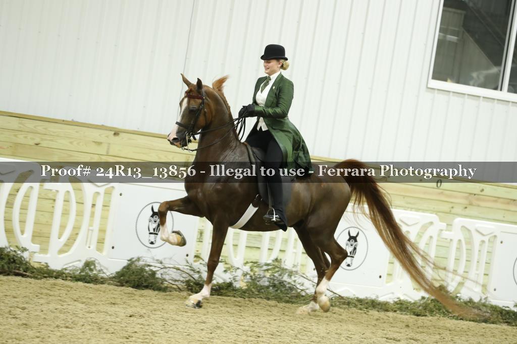 Proof 24R13_13856