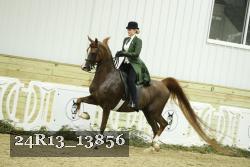 24R13_13856 proof