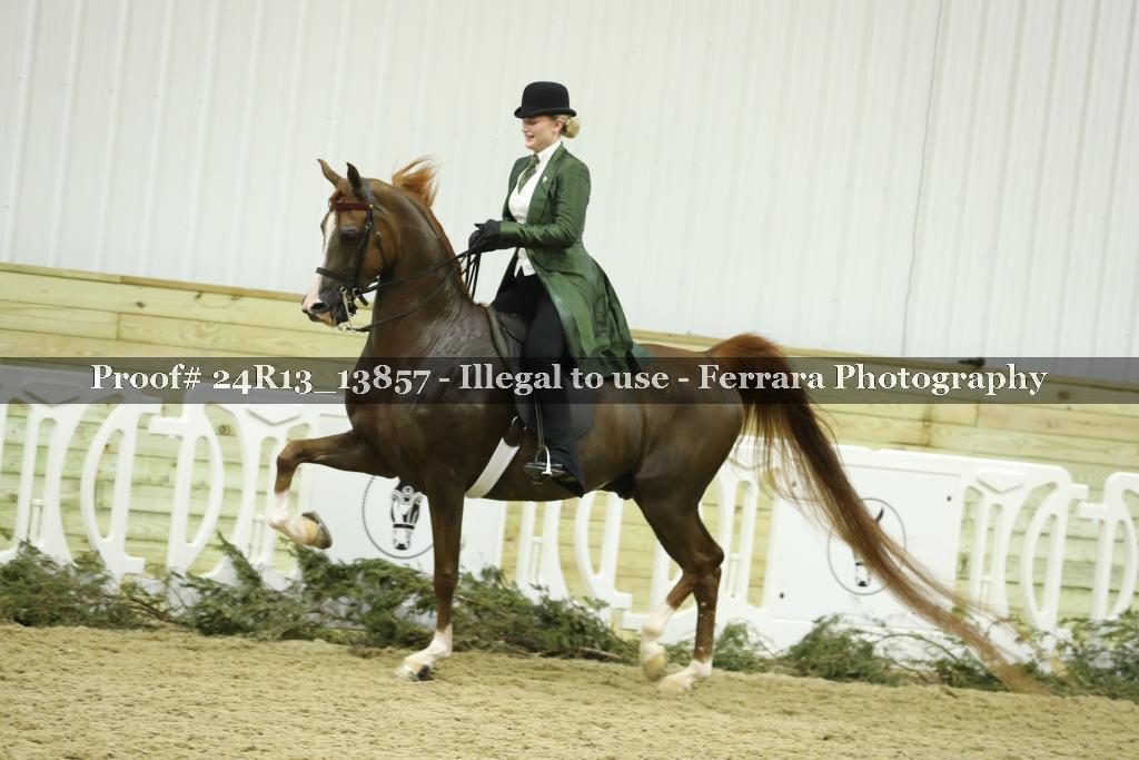 Proof 24R13_13857