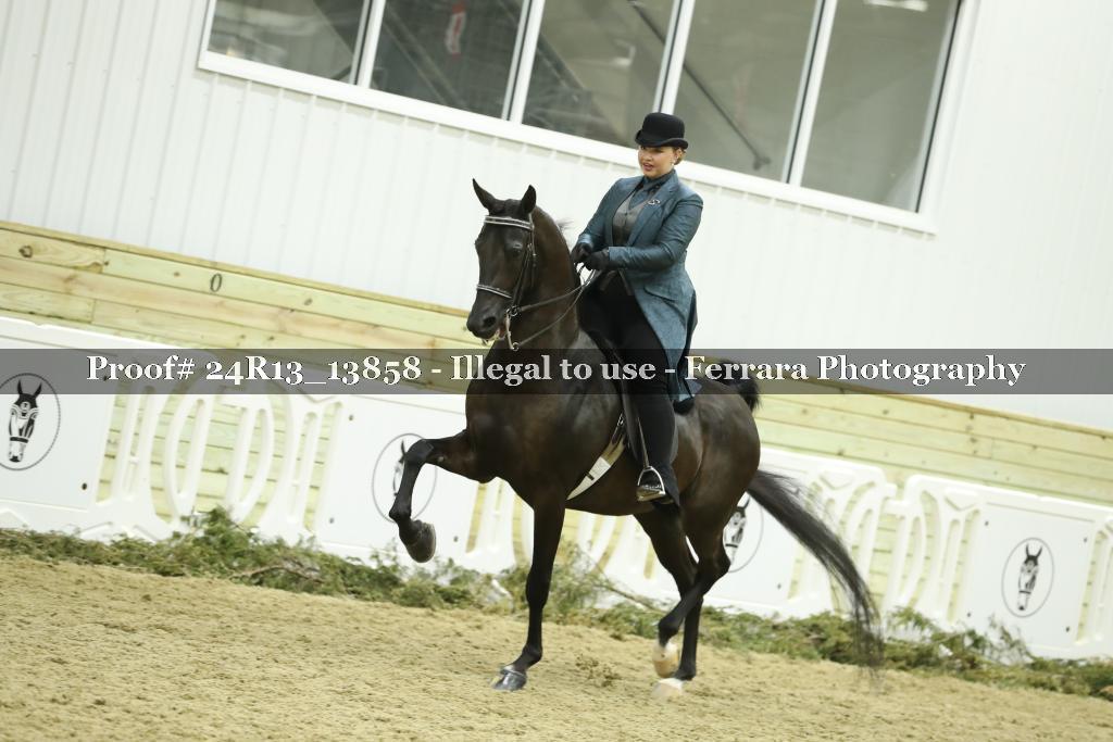Proof 24R13_13858
