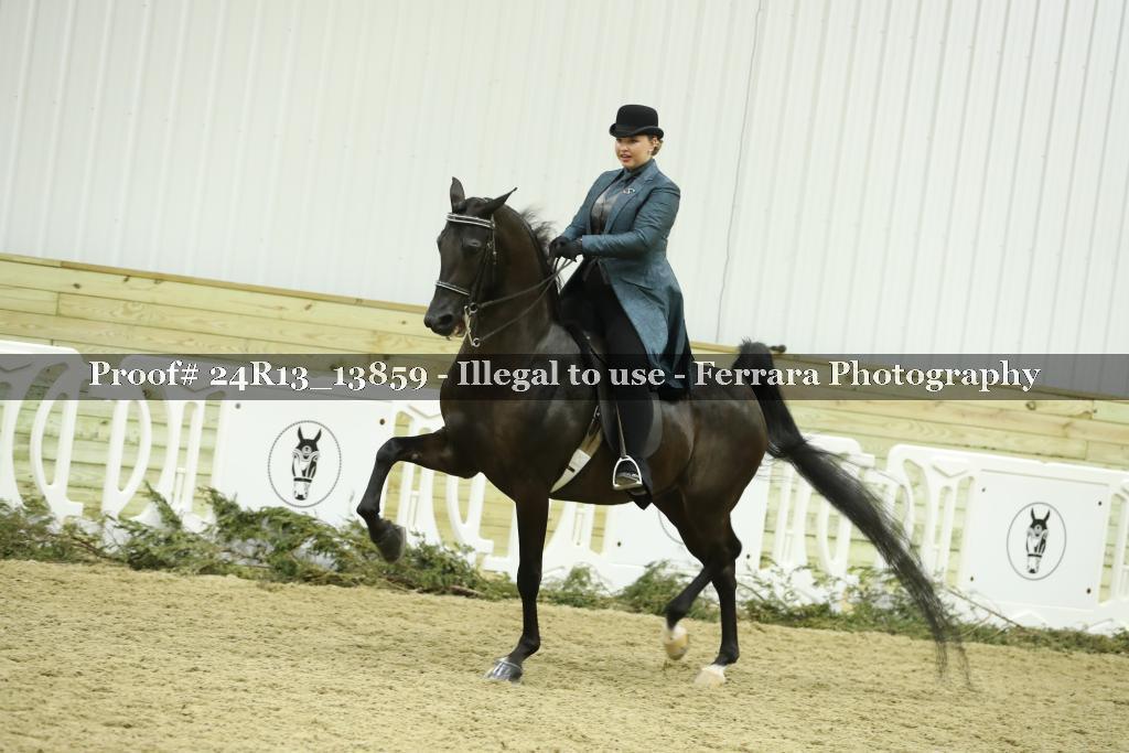 Proof 24R13_13859